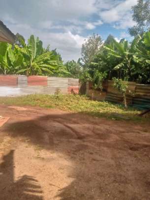 2 bedroom house image 10
