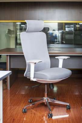 Executive Chairs : Orthopedic Executive Office Chair image 5