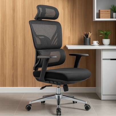 Orthopedic Executive Office Chair image 3