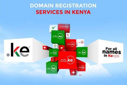 .CO.KE Domains Registrations image 2