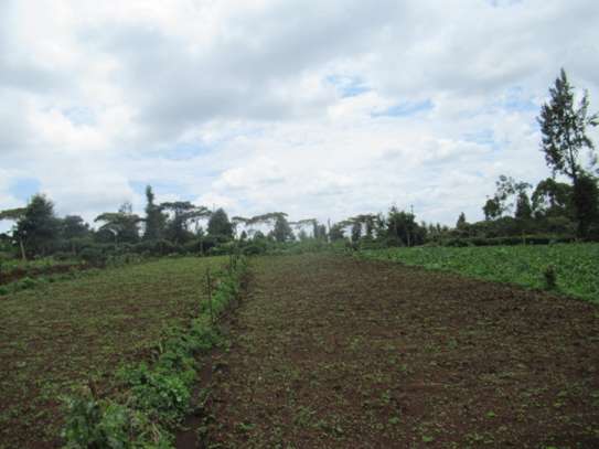 3.25 Acres Of Land For Sale in Ruku/Wangige image 11