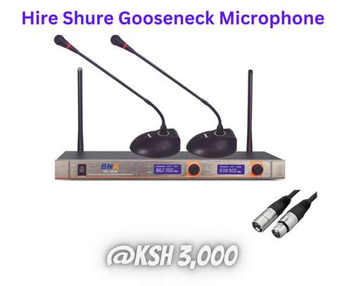 Hire gooseneck mics image 1