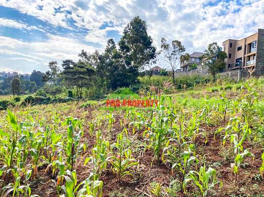 0.05 ha Residential Land at Muthiga image 19