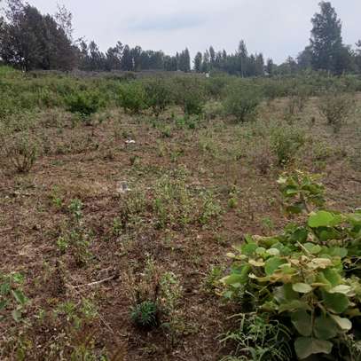 Kenol 40*80ft commercial plots for sale in Muranga county image 4
