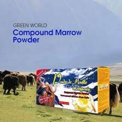 Green World compound marrow powder (15g x24sachets) image 2
