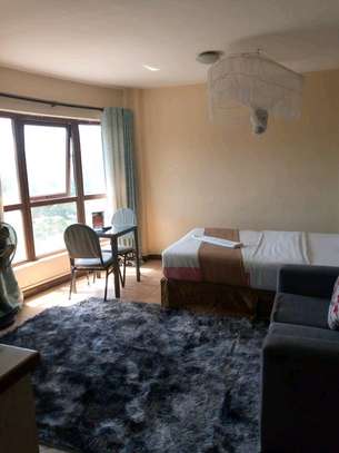 Fully Furnished Studio Apartment with Appliances image 3