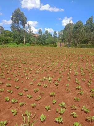 50 by 100 plots image 2