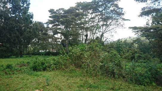 Land at Kahara Road image 7