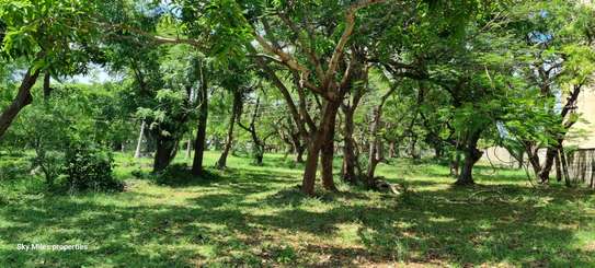 2.5 ac Land at Serena image 14