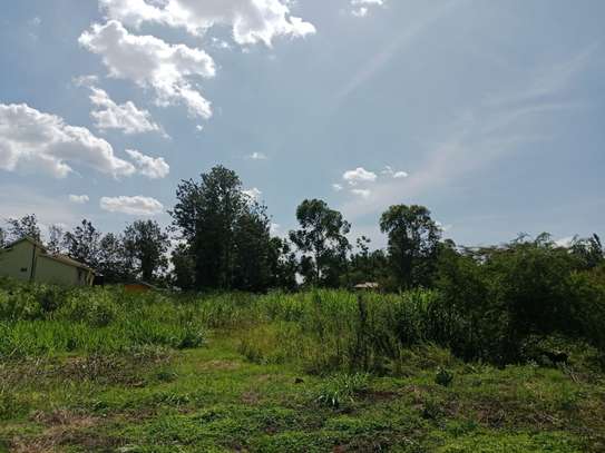 Land at Roysambu image 5