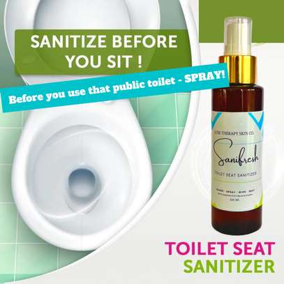 Toilet Seat Sanitizer image 1