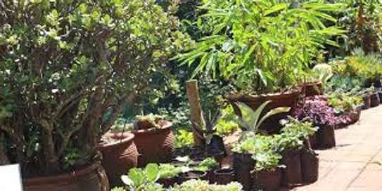 Transform Your Outdoors with Bestcare Landscaping Services image 2