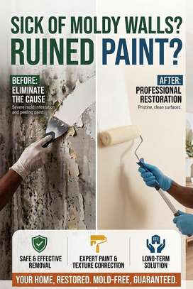 dumpness and mould solutions image 1