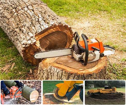 24 HR Tree trimming & pruning|Tree removal|Emergency tree services.Free quote image 7