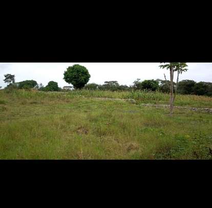1 Acre land for sale image 5