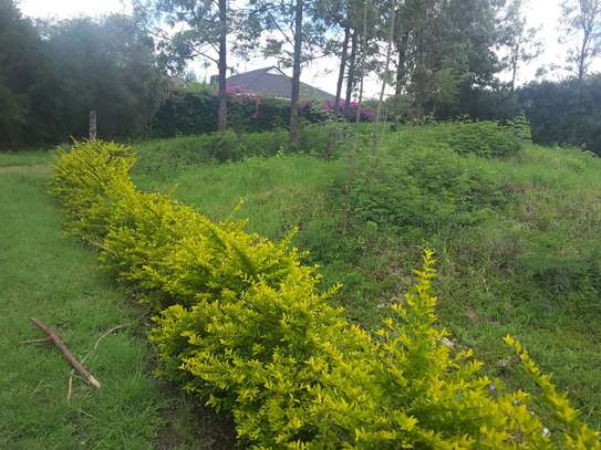 Lovely One Eighth Plots in Ongata Rongai image 4