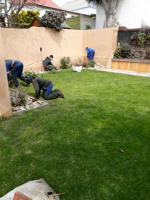 Landscaping & Gardening Services Kitisuru image 3