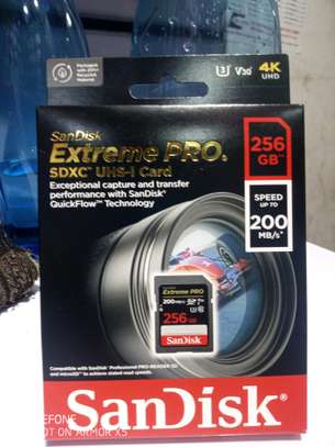 SD 256gb Extreme Pro image 4