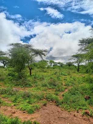 40 Acres Agricultural Land Is For Sale In Masinga Kithyoko image 3