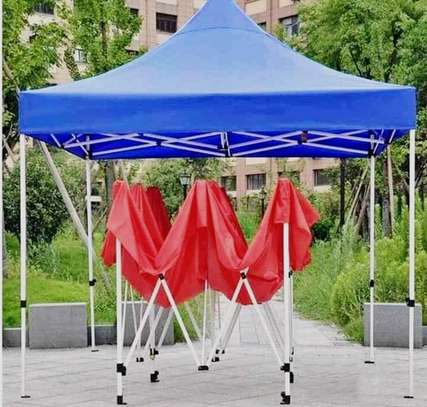 Canopy tent/gazebo tent image 1