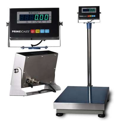 TCS-300 300kg Weighing Scale image 1