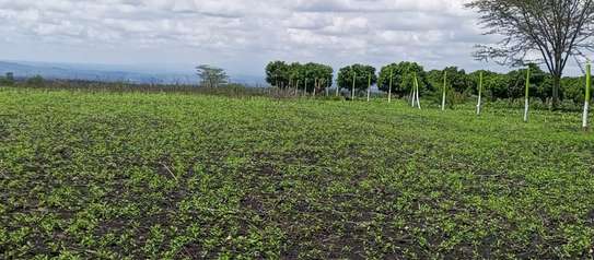 450 m² Land at Makutano Mwea image 5