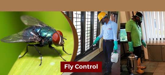 Bed Bug Exterminators | Bed Bug Removal in Nairobi image 5