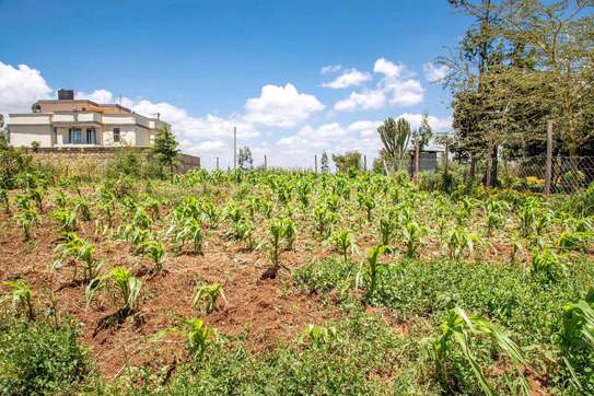 Prime Residential plot for sale in kikuyu, kamango image 5