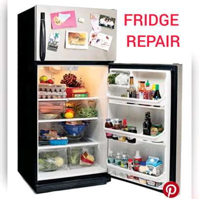 Nakuru Fridge & Washing Machine Repair Service image 1