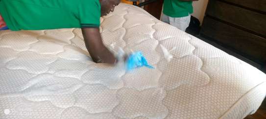Professional cleaning services - Homes, Mosque, Offices image 2