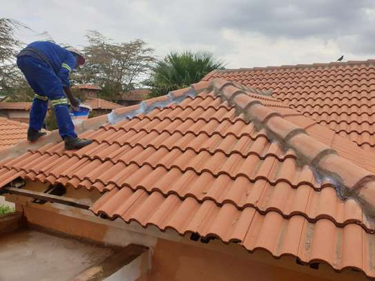 Affordable Painters In Nairobi - Over 10 Years Experience image 12