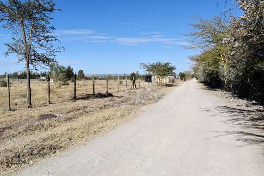 0.25 ac Land at Fred'S Ranch image 14