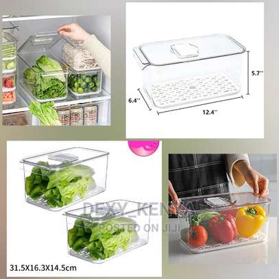 Refrigarator Food Storage image 1