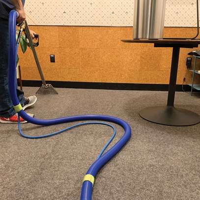 Are You Looking For A Domestic Or Commercial Carpet Cleaning Contractor? image 3
