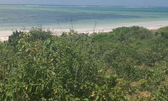 12 Acres Front Row Beach Is Available For Sale In Malindi image 1