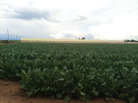 60 acres Land Muramati image 5