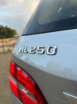 2016 Mercedes-Benz ML250 Bluetec image 8