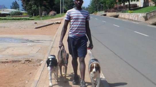 Mobile Dog Grooming | Mobile Dog wash | Pet grooming | Dog Grooming Nairobi image 5