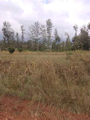 ½ acre at Kenol town for sale image 7