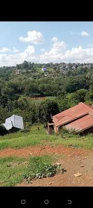 Plot for sale in Nyeri town Kangemi area image 2