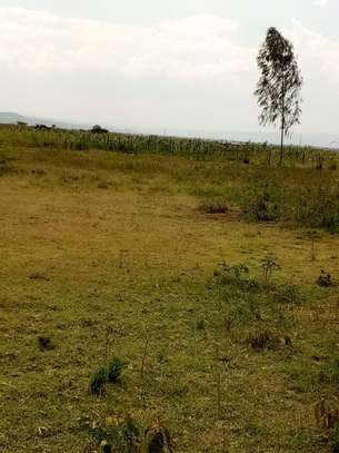 50×100 prime plots for sale at Mutaita in Nakuru East. image 4