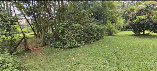 Land in Karen image 2