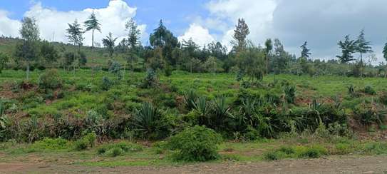 0.05 ha Land at Limuru Makutano Ndeiya image 4