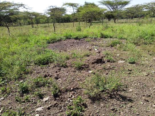 Lovely One Acre Land in Ongata Rongai image 2