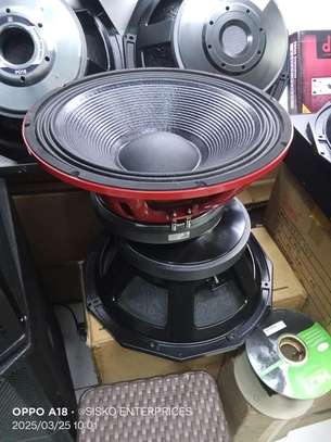 PD 18 Nacked speaker image 3