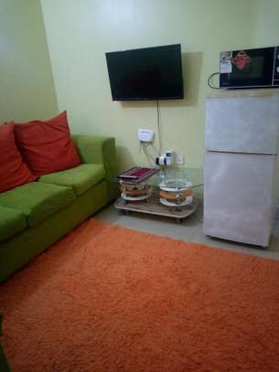 Fully furnished one bedroom apartment image 1