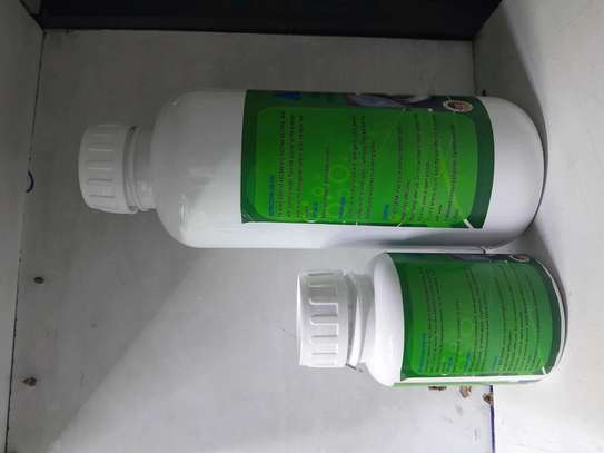 AECARE BIO-ENZYME/ BACTERIA, BIODIGESTERS  250ML,1 LITRE image 4