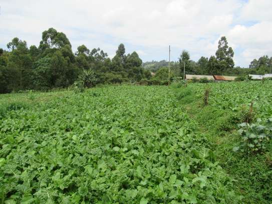 3.25 Acres Of Land For Sale in Ruku/Wangige image 8