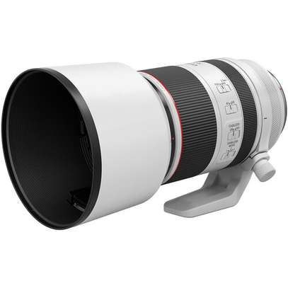 Canon RF 70-200mm f/2.8 L IS USM Lens image 3