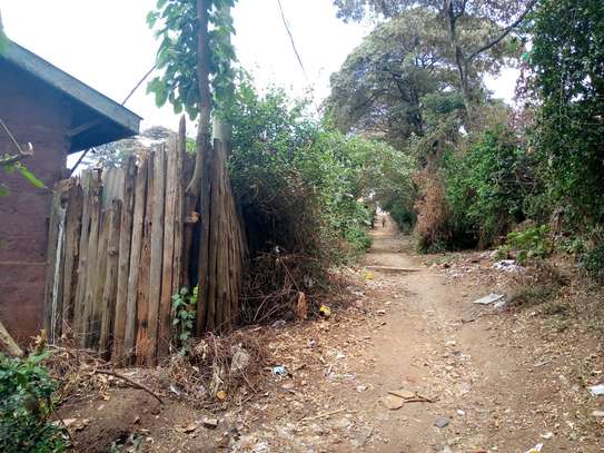 Land at Naivasha Road image 12